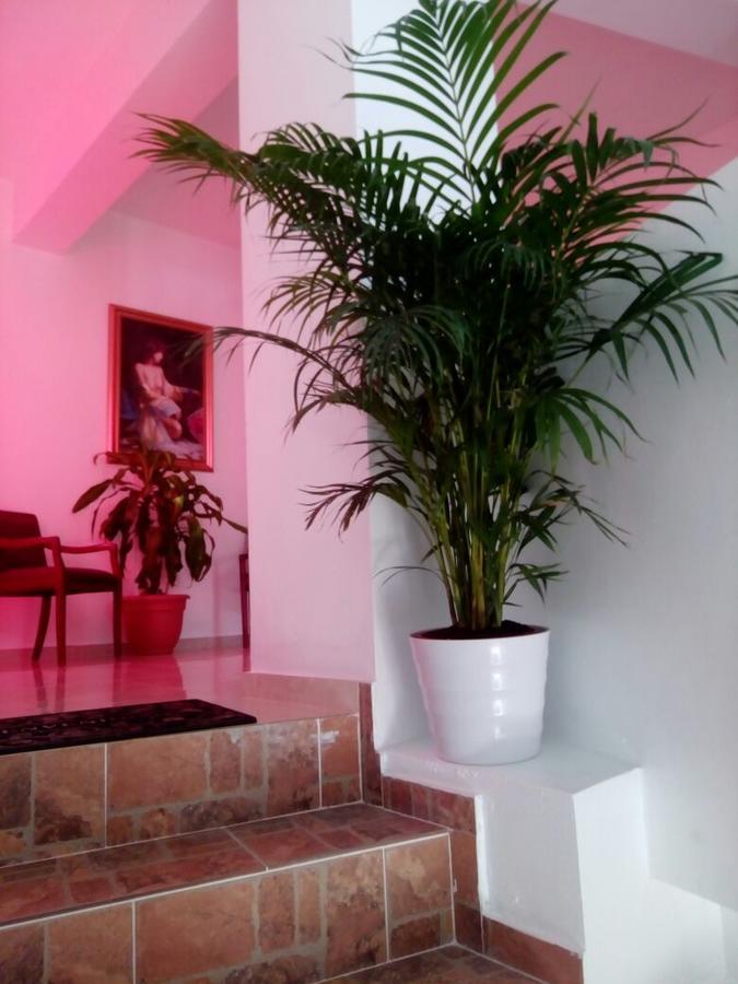 Hostel Central Puerto Plata