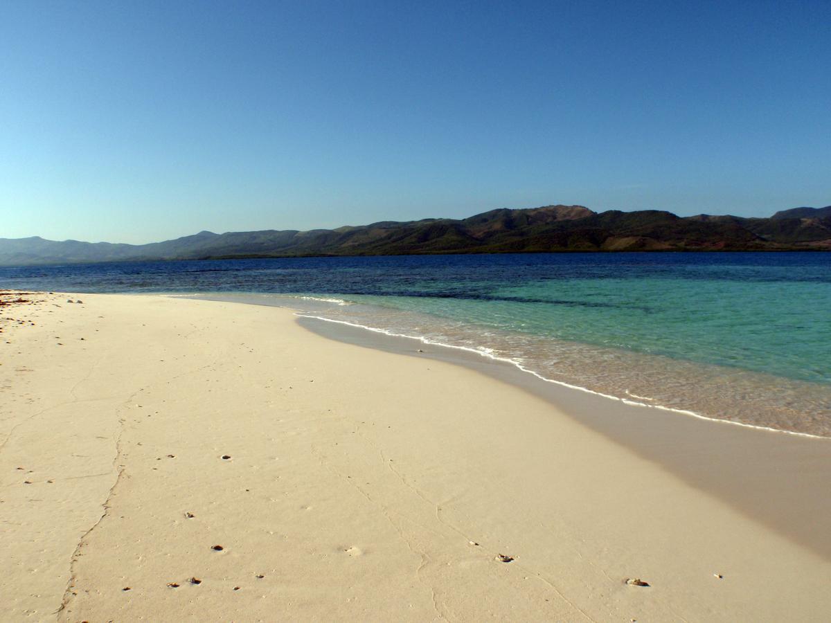 Corales Punta Rusia