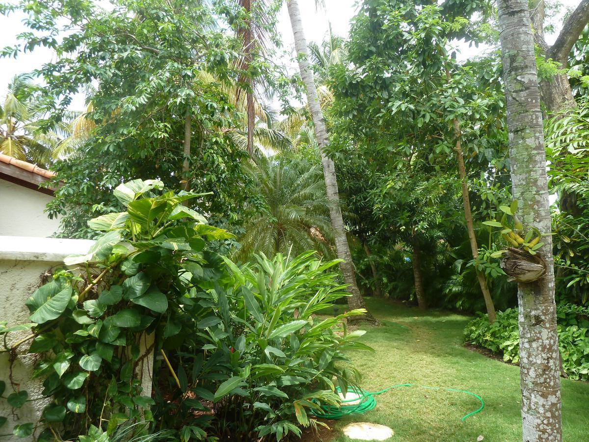 Villa Lujo Las Pinas 13 En Casa Campo