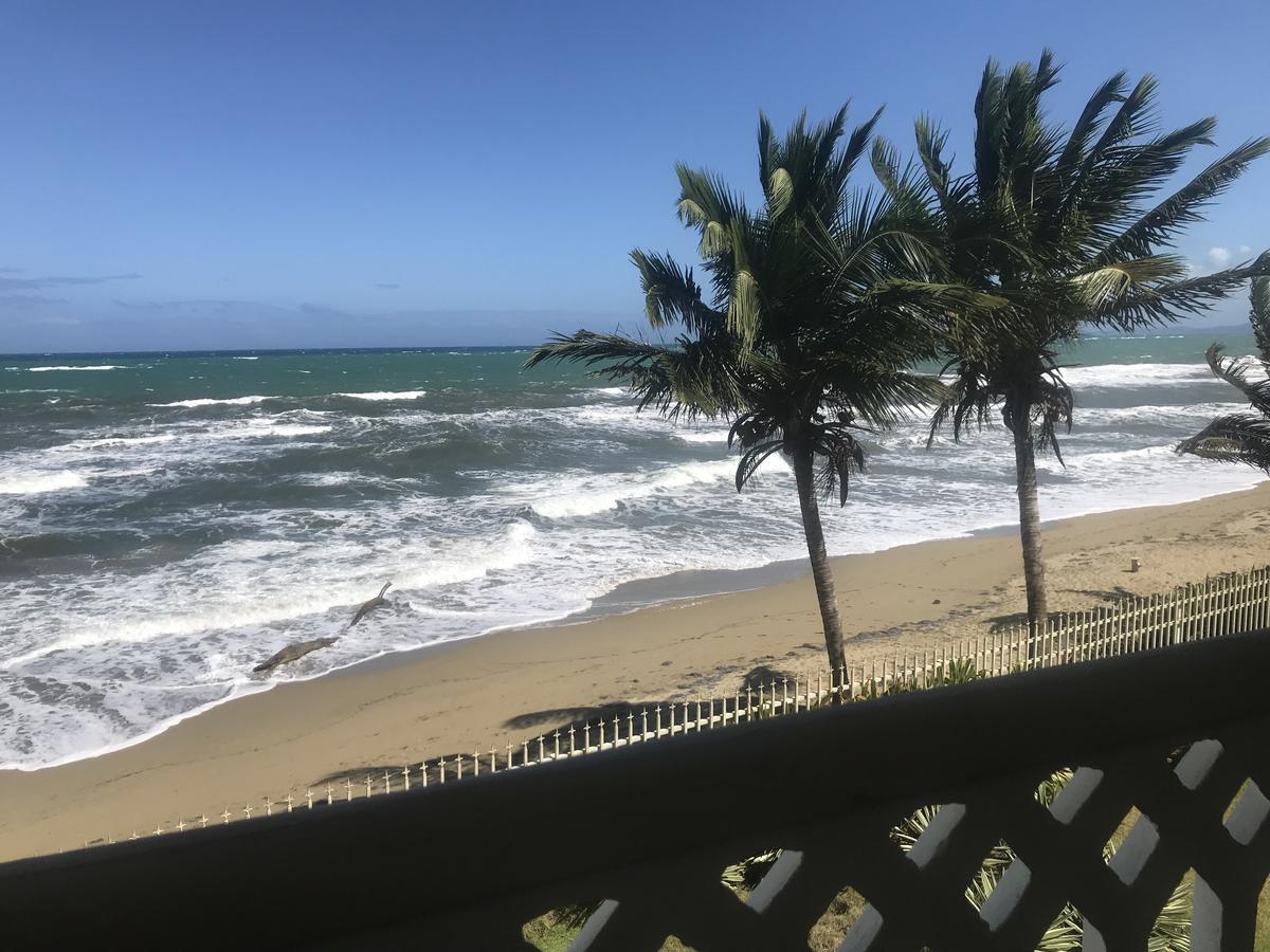 Barefoot Pad 3* Cabarete