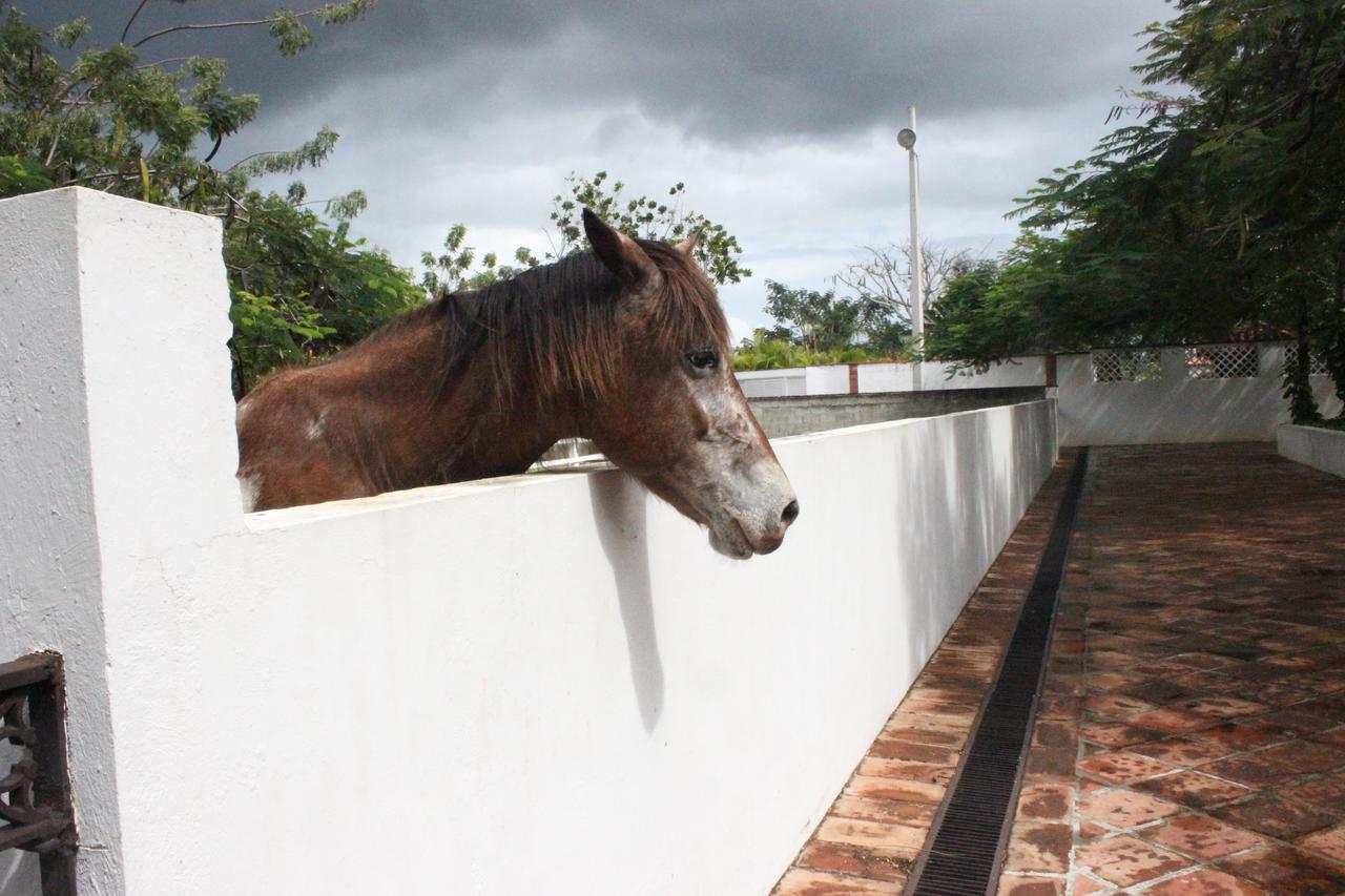 Apartment Bellomar I Exclusive Playa Hemingway Juan Dolio