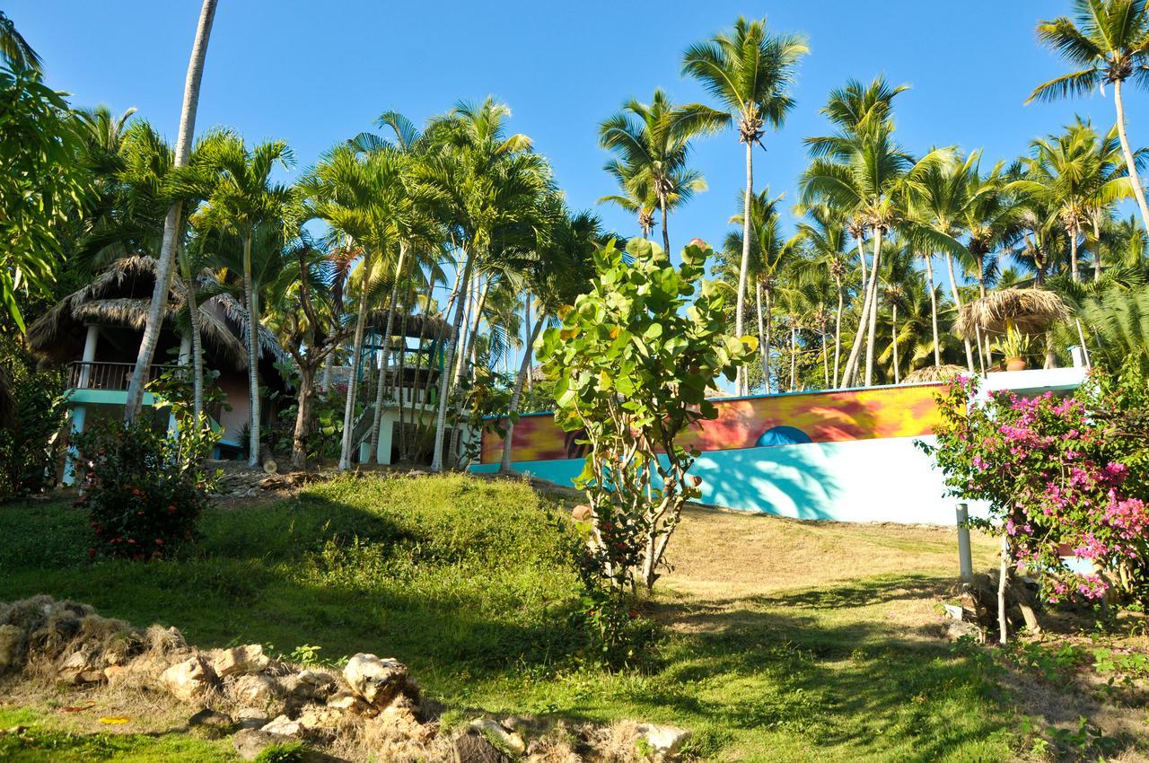 Las Ballenas Escondidas * Samana