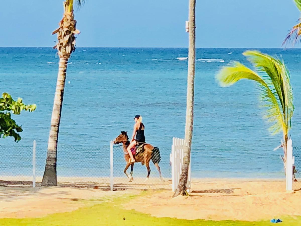 Casa Blanca Las Terrenas *