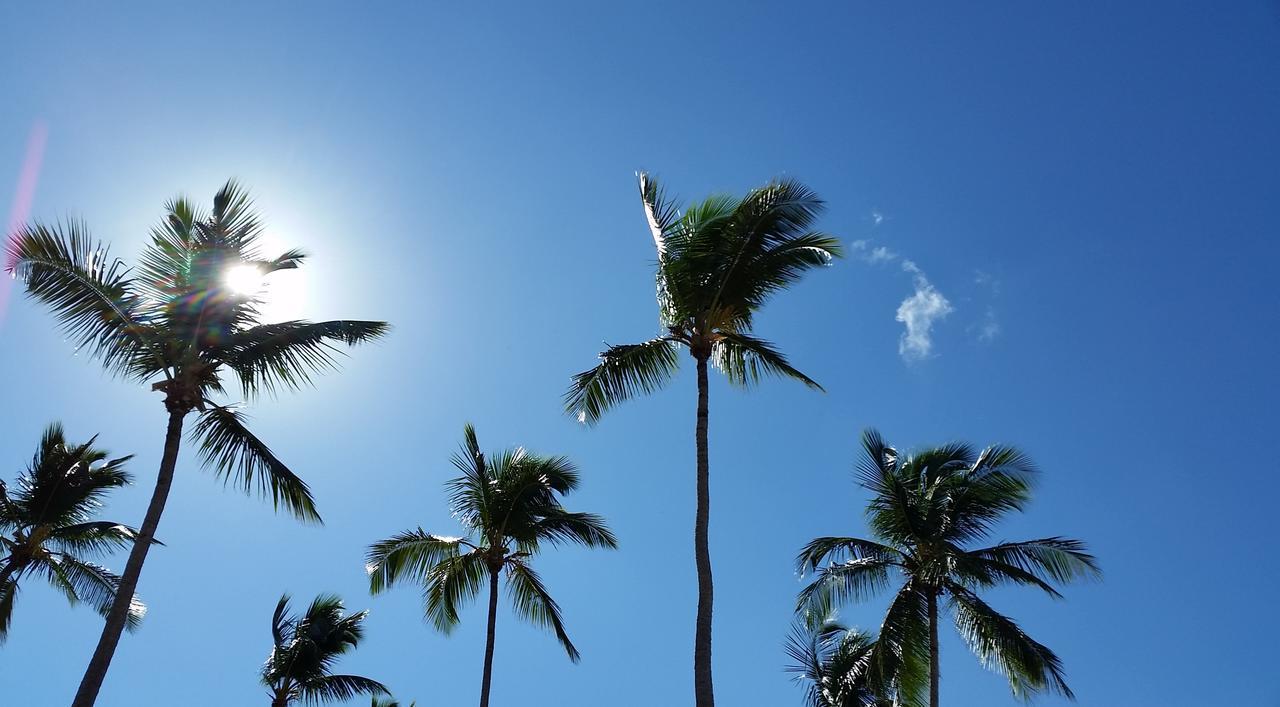 Pina 3*
