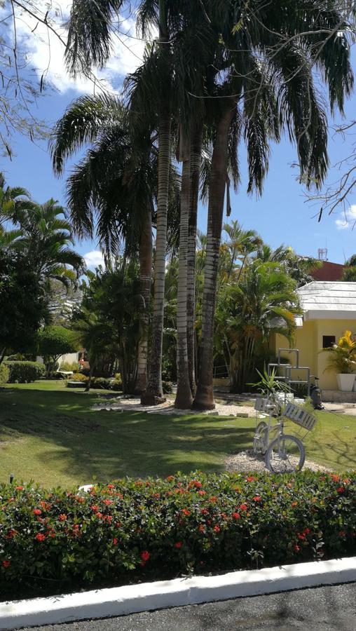 Venesa Apartment Boca Chica