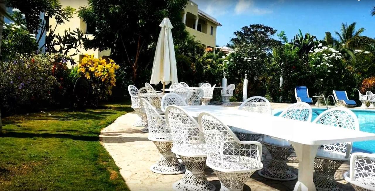Modern Dominicus Apartment