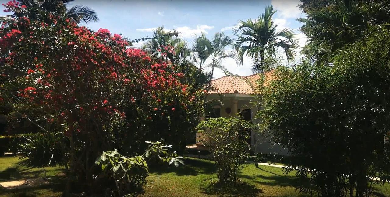 Modern Dominicus Apartment