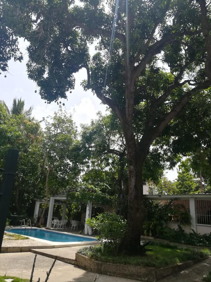 Bed & Breakfast Carolina 2*