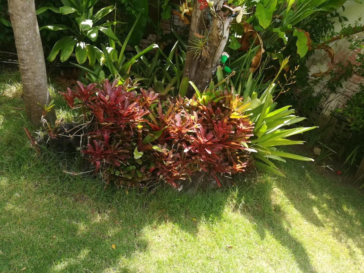 Bed & Breakfast Carolina Puerto Plata