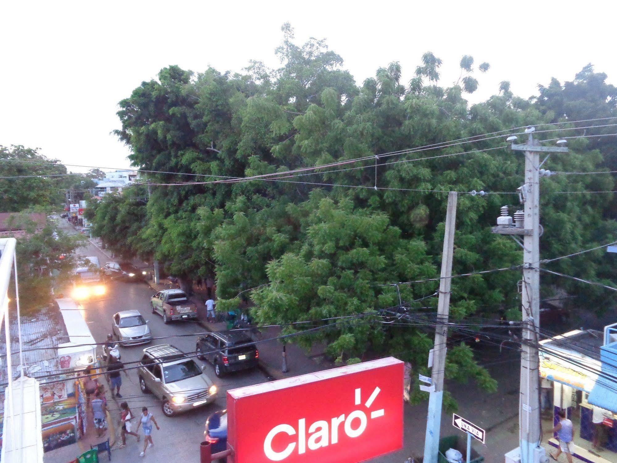Guest house Rig Plaza Venecia