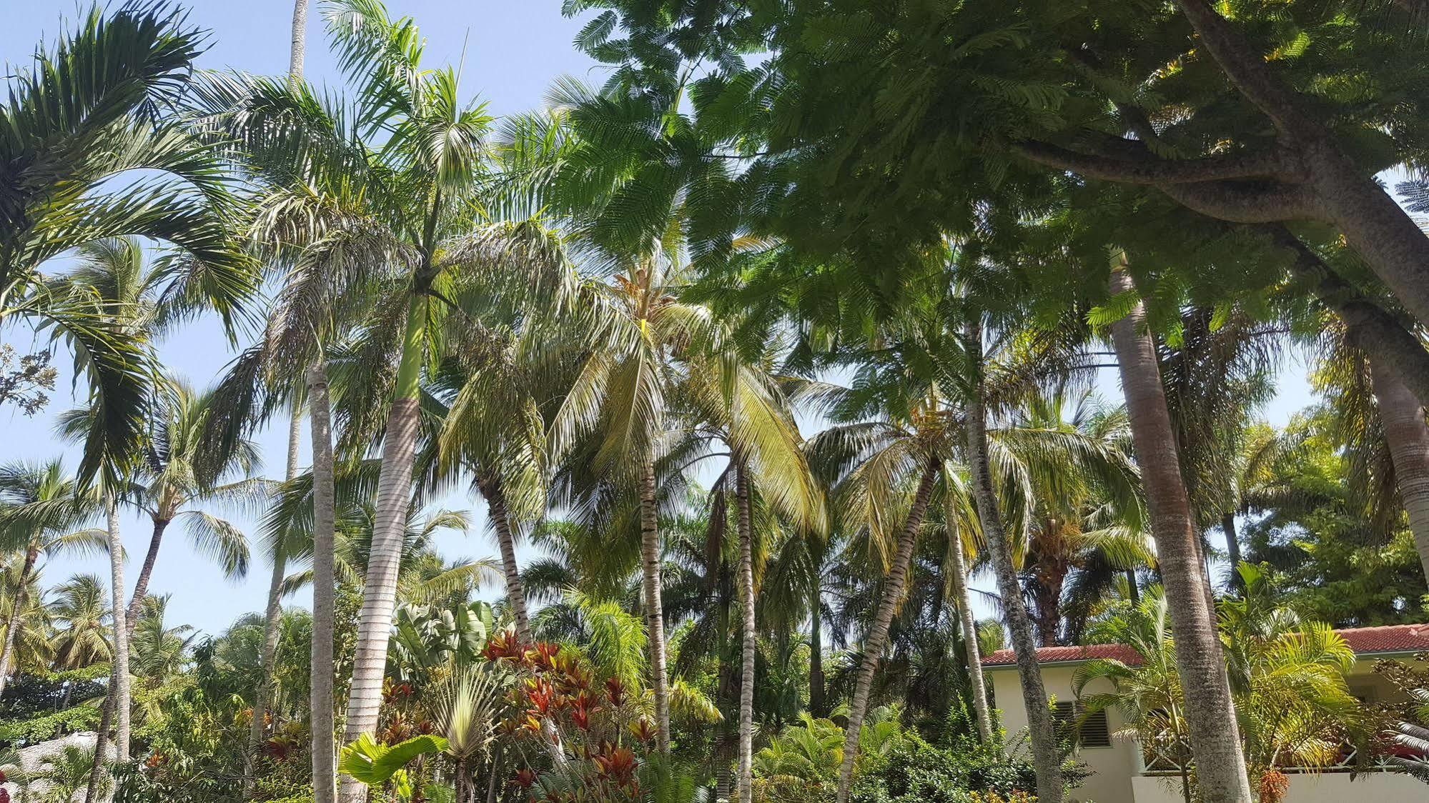 Oasis Terrenas Aparthotel Portillo