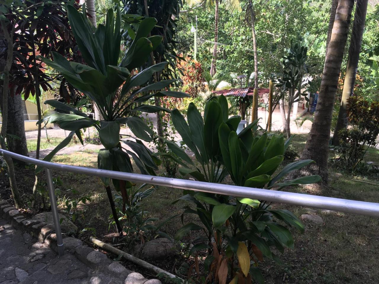 Camping National Park Close To Beach 4*