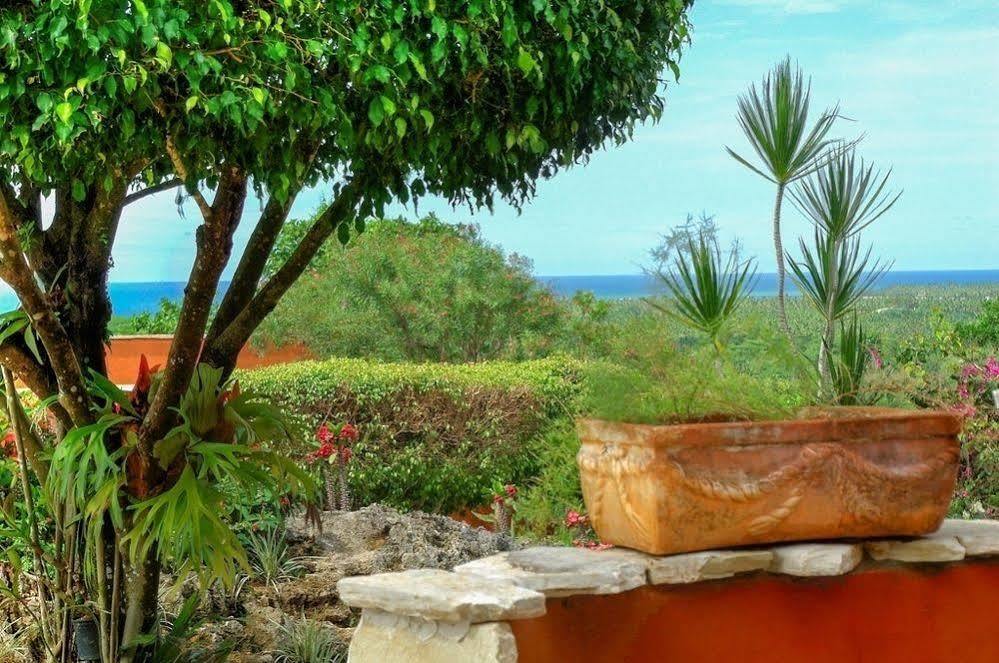 Monte Placido * Las Terrenas