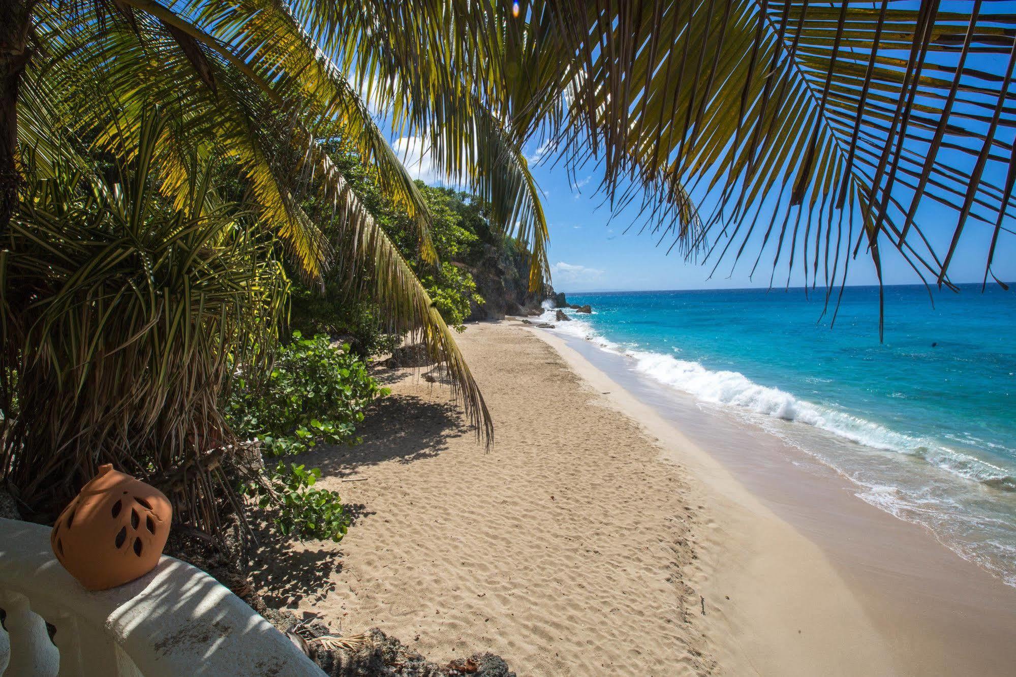 The Palace At Playa Grande 4*
