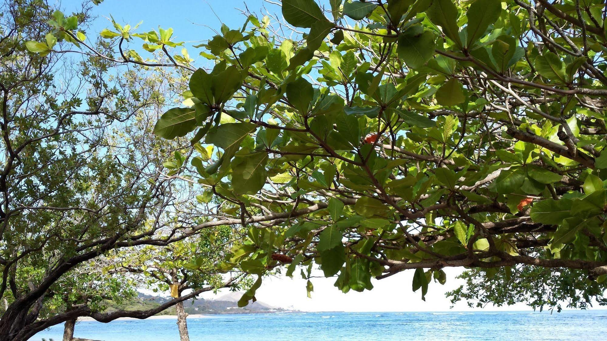 Costambar Puerto Plata
