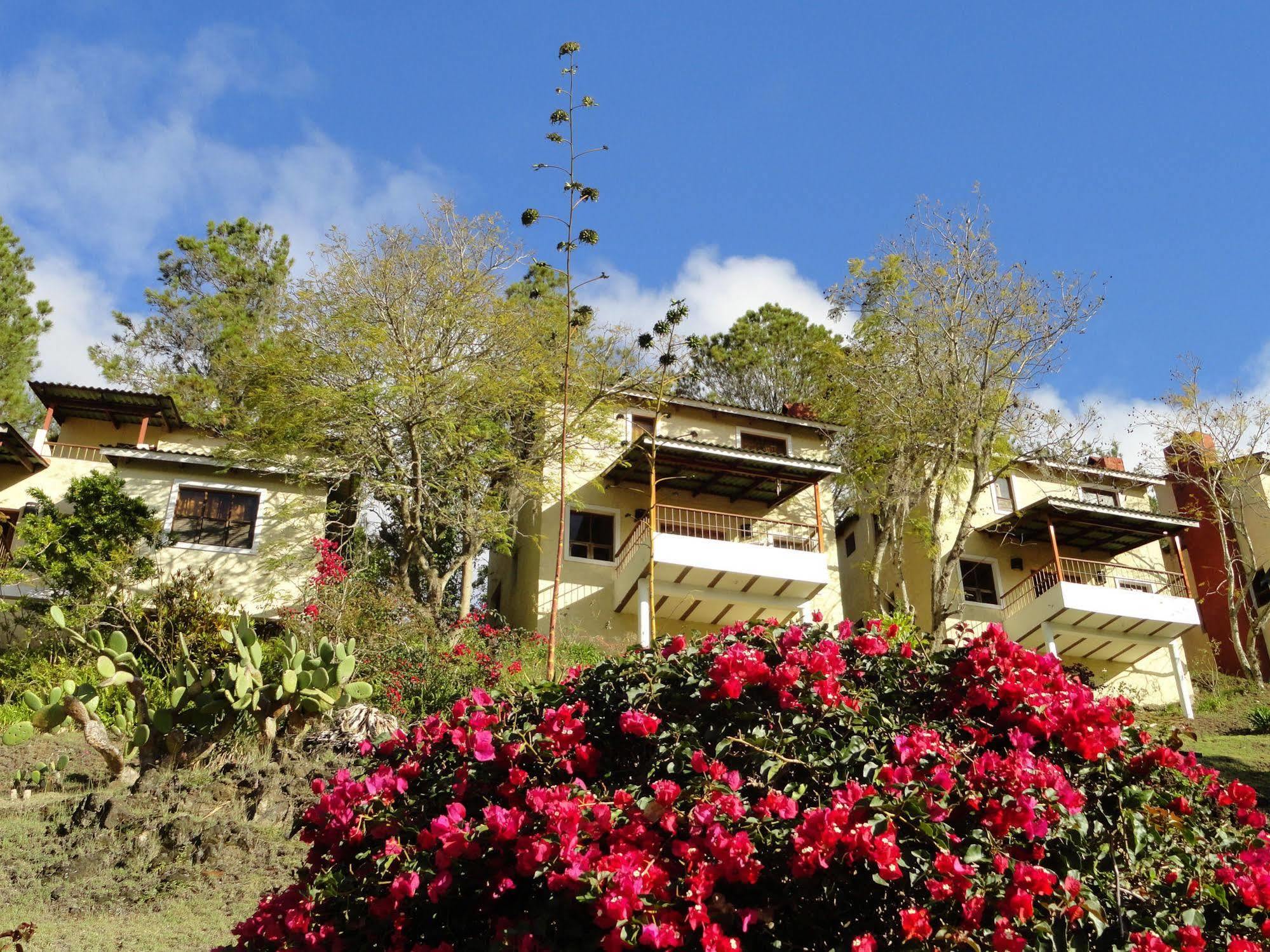 Altocerro & 3*