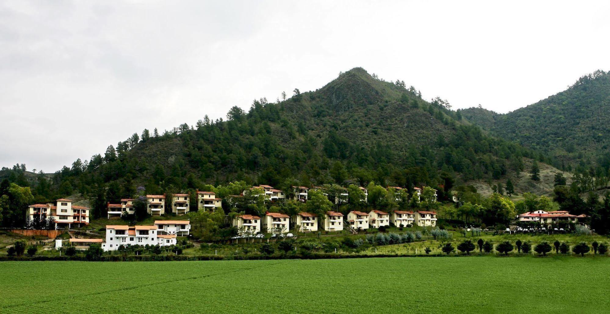 Altocerro &