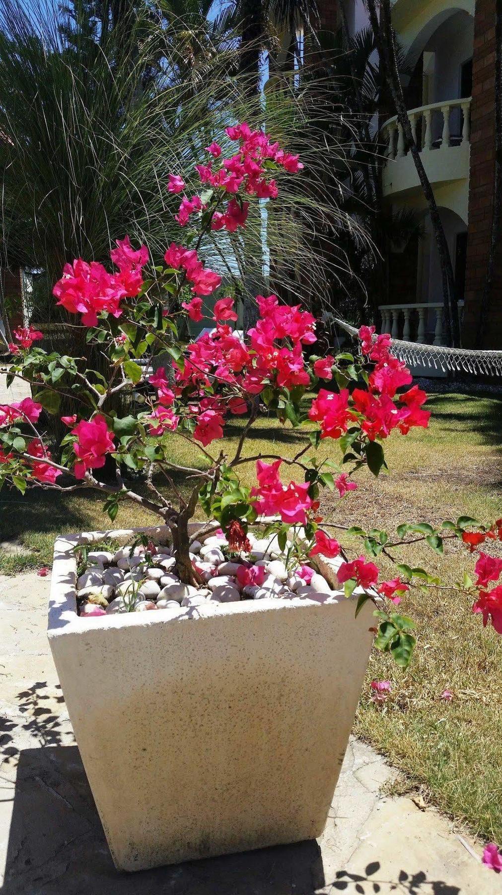 Voramar Hotel 3*