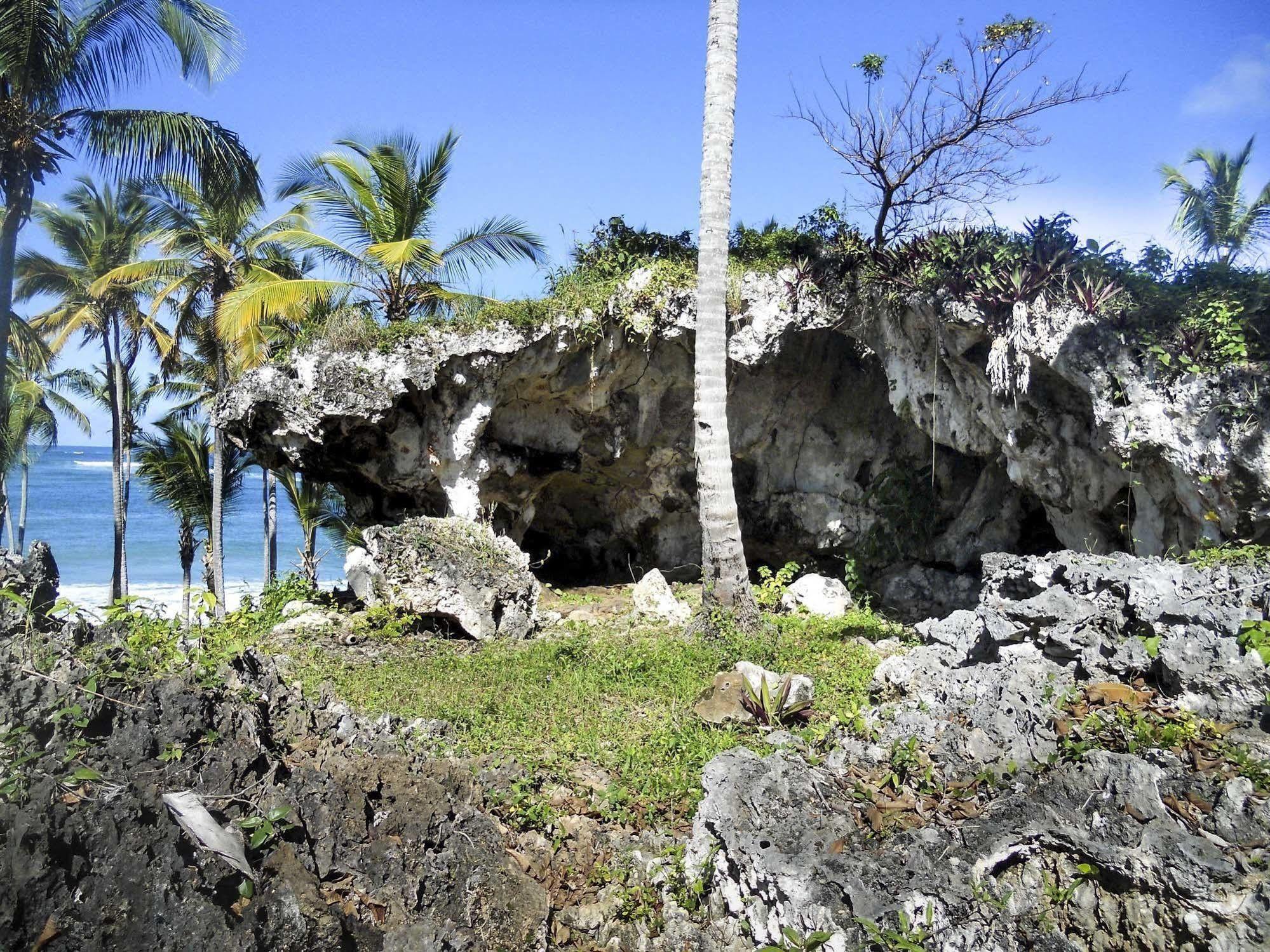 Diana Ocean Front 3* Las Galeras