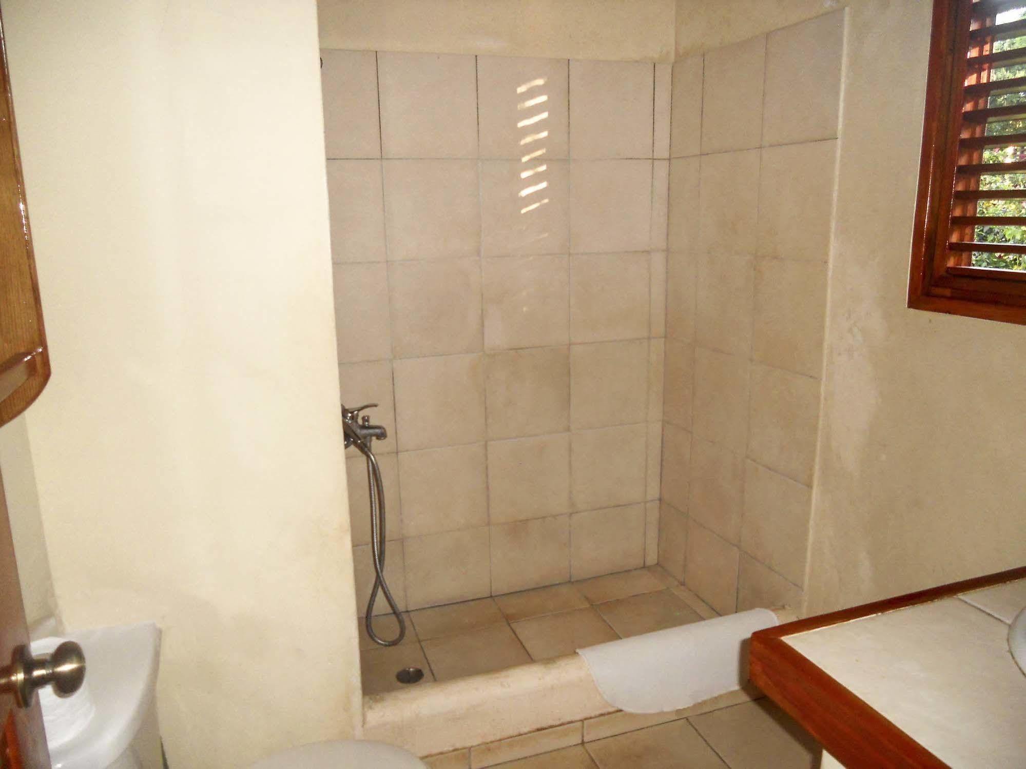 Hotel Diana Ocean Front 3*