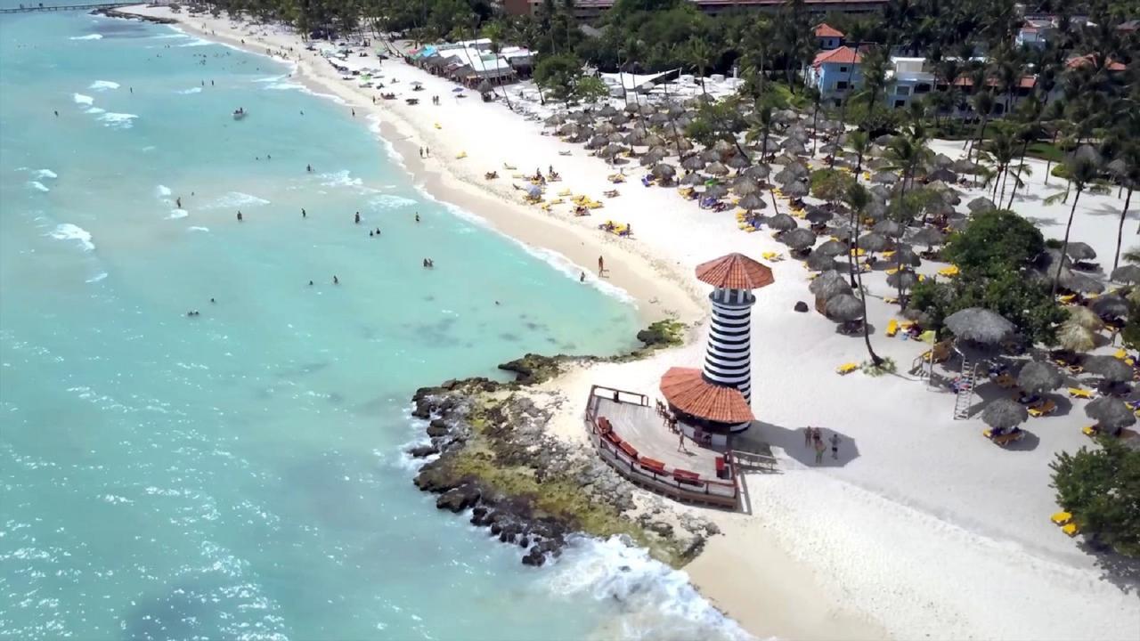 Modern Dominicus
