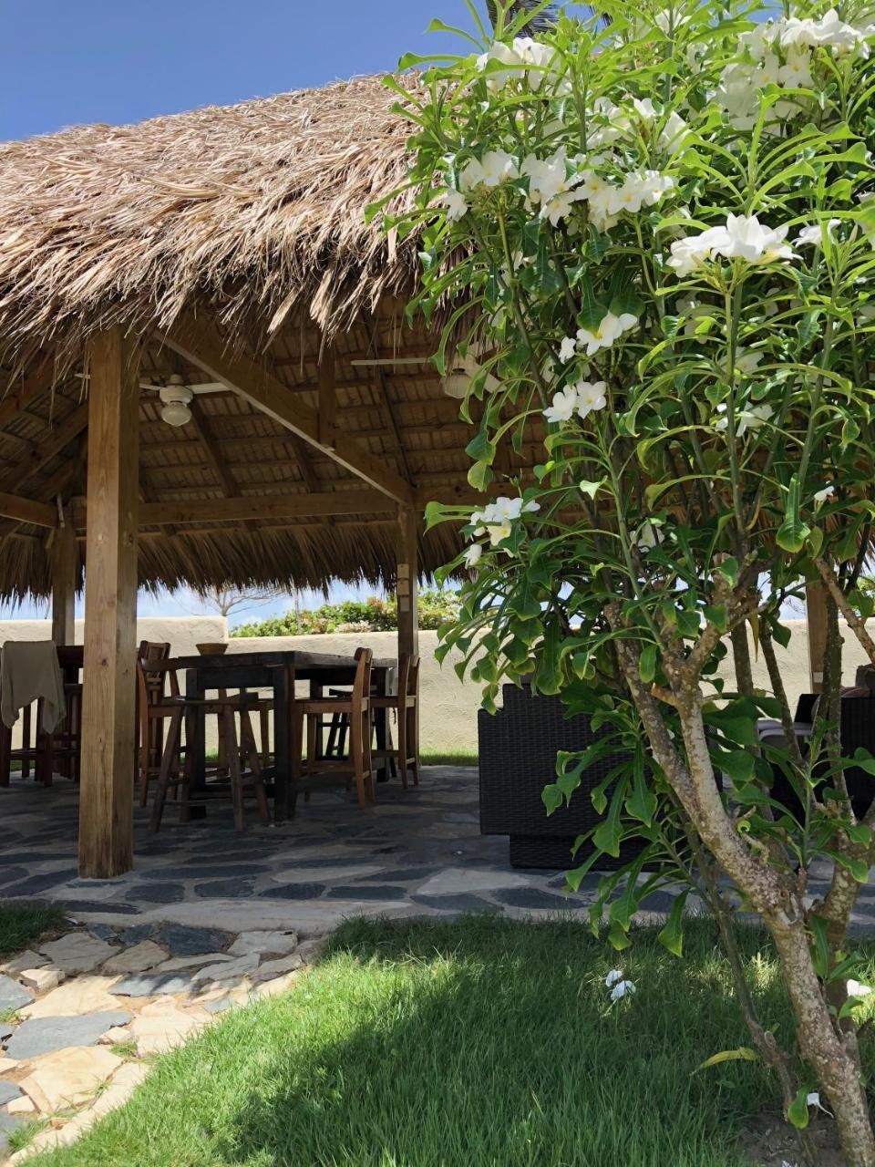 Barefoot Pad 3*