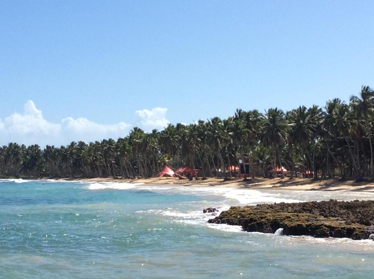 Bed & Breakfast Baoba Breeze Bed & Breakfast- Beachfront Paradise Cabrera