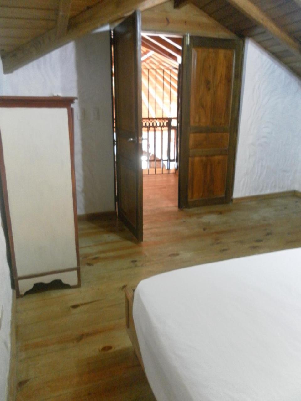 Serenella Villa *