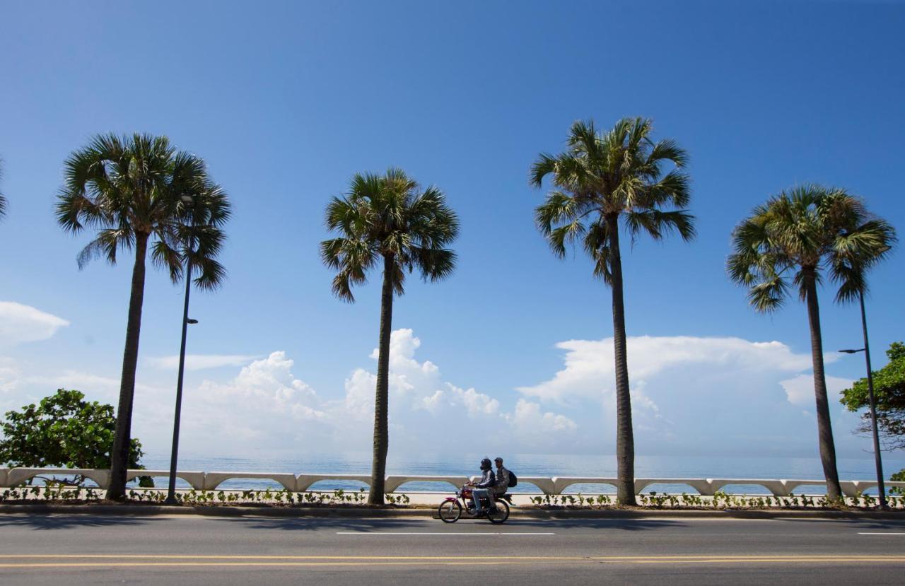 Palmera Xviii