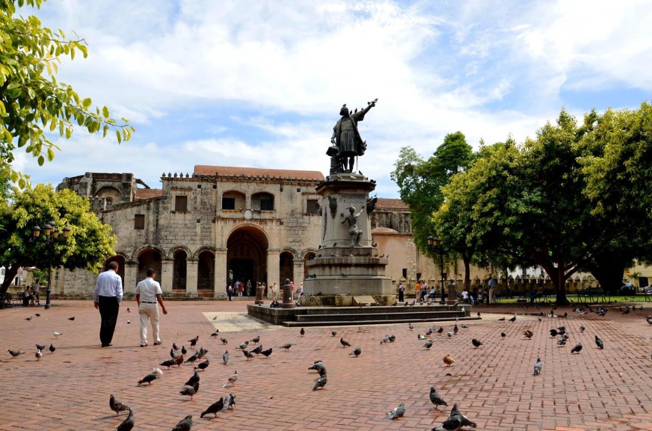 Palmera Xviii