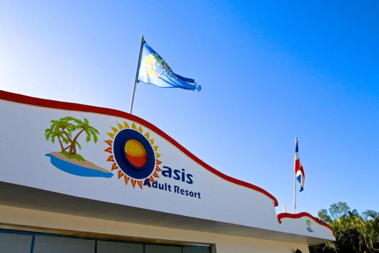 Hotel Oasis Adult Pop
