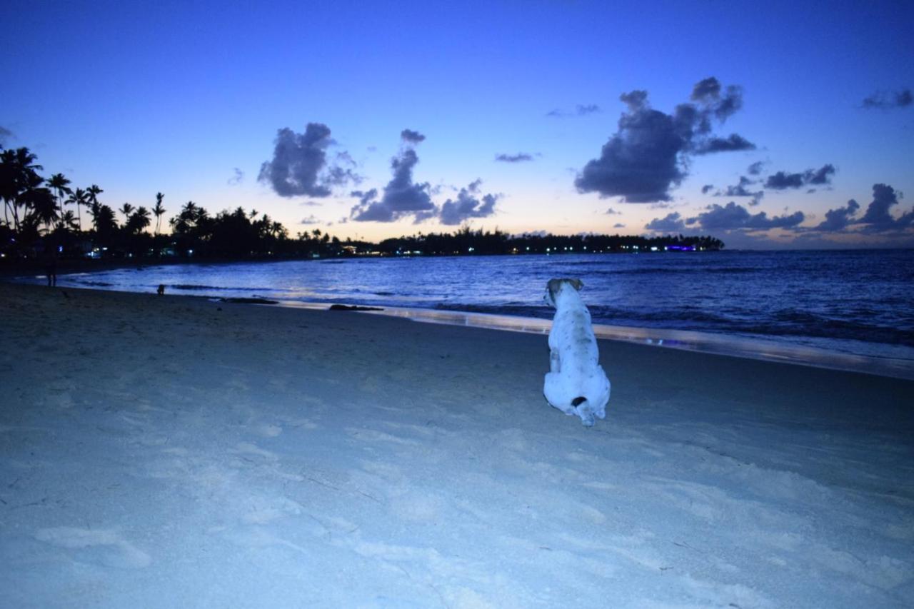 La Dolce Beachfront Hotels, Terrenas, Samana