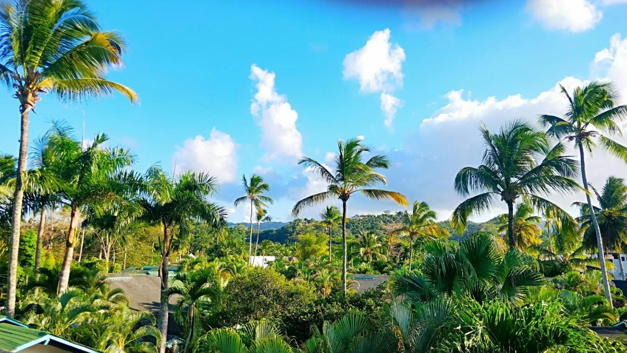 La Dolce Beachfront Hotels, Terrenas, Samana Las Terrenas