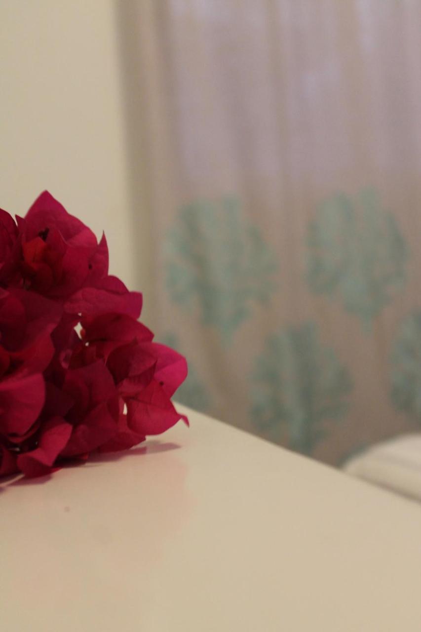 Luna Bed & Breakfast 3*