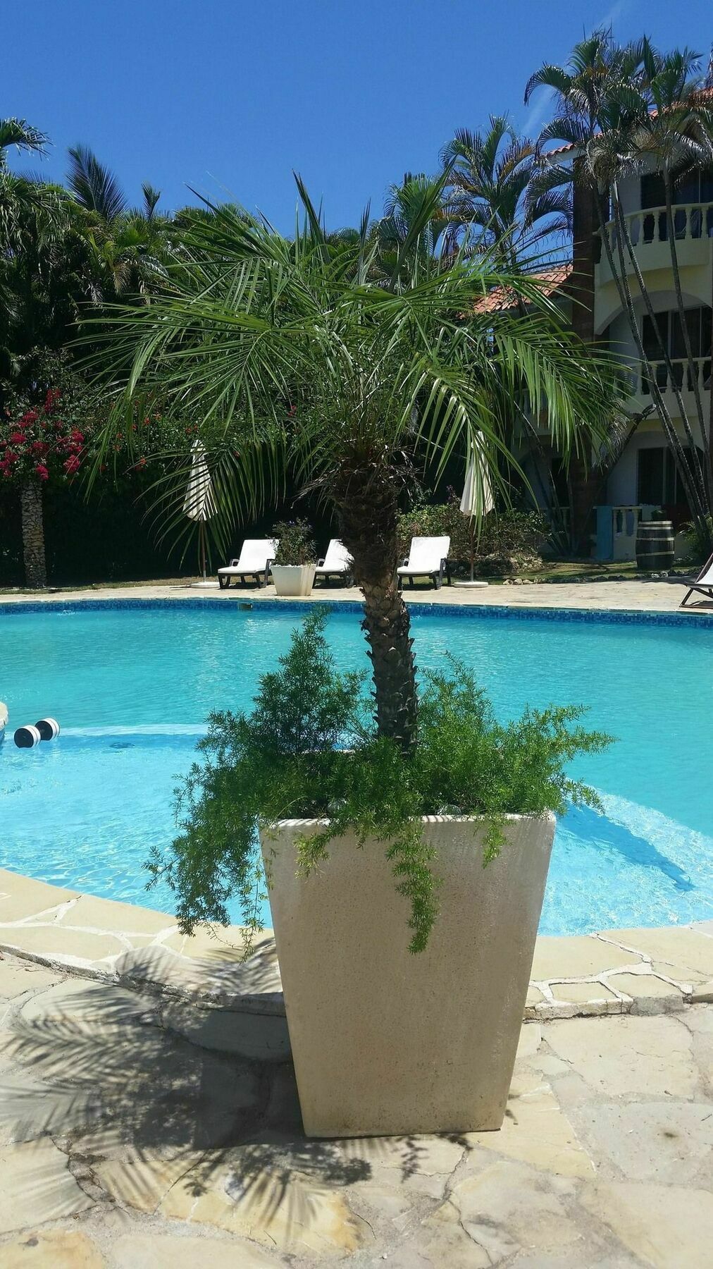 Voramar Hotel