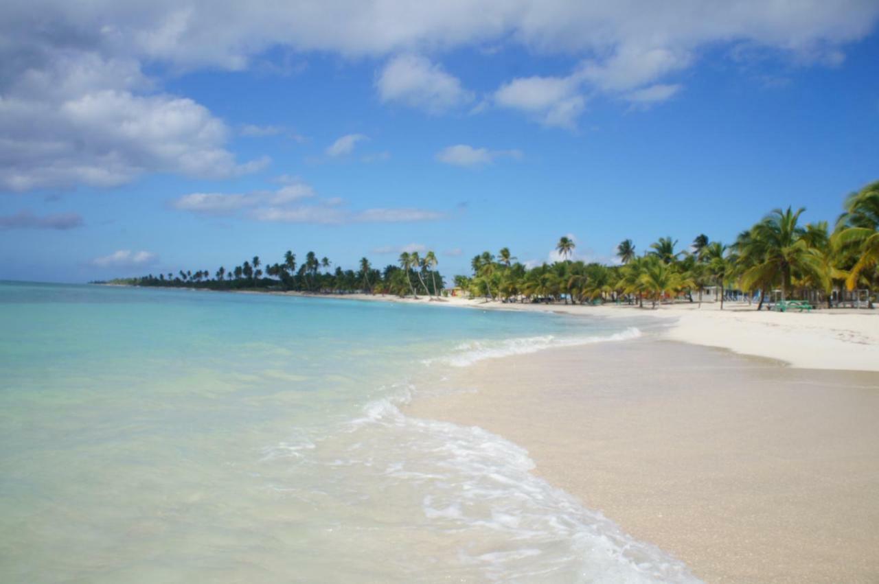 Altea Community Bayahibe