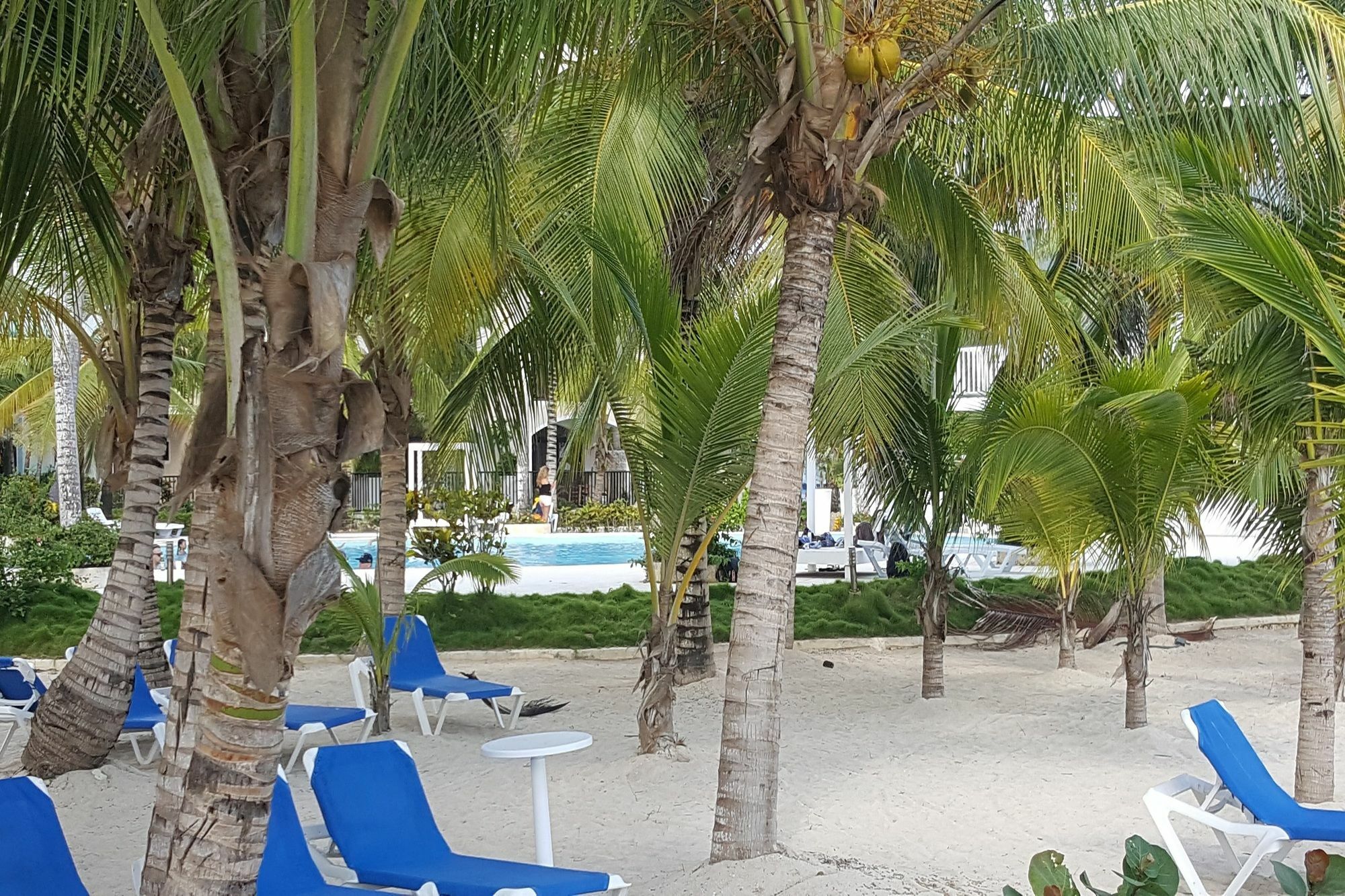 Hotel Whala!bayahibe (adults Only) 4*