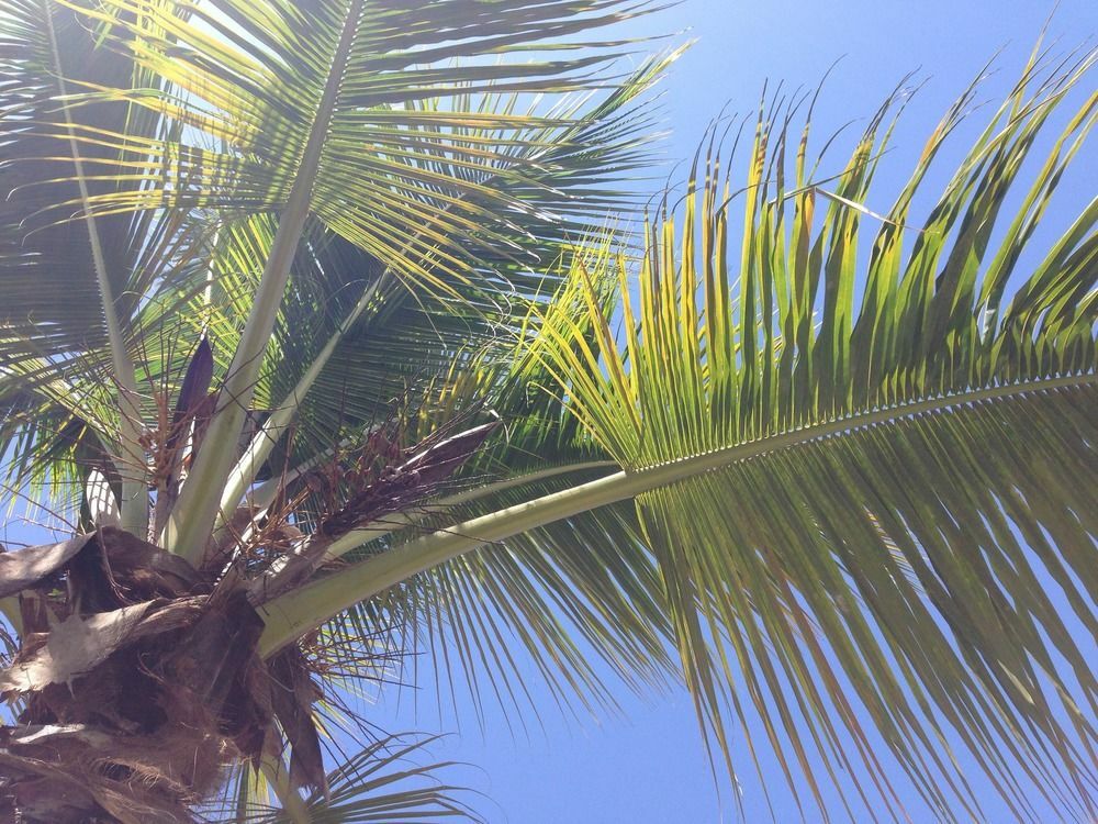 Caserma La Romana-bayahibe