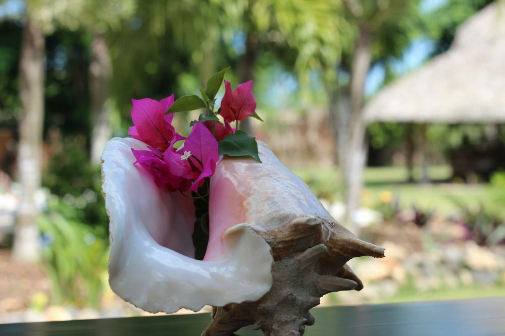 Hotel Caserma La Romana-bayahibe La Romana
