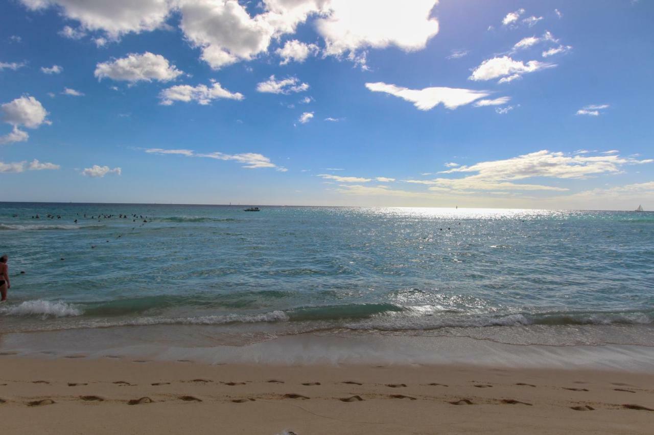Reef Bayahibe
