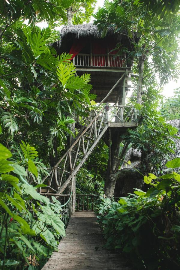 Dominican Tree House Village El Valle