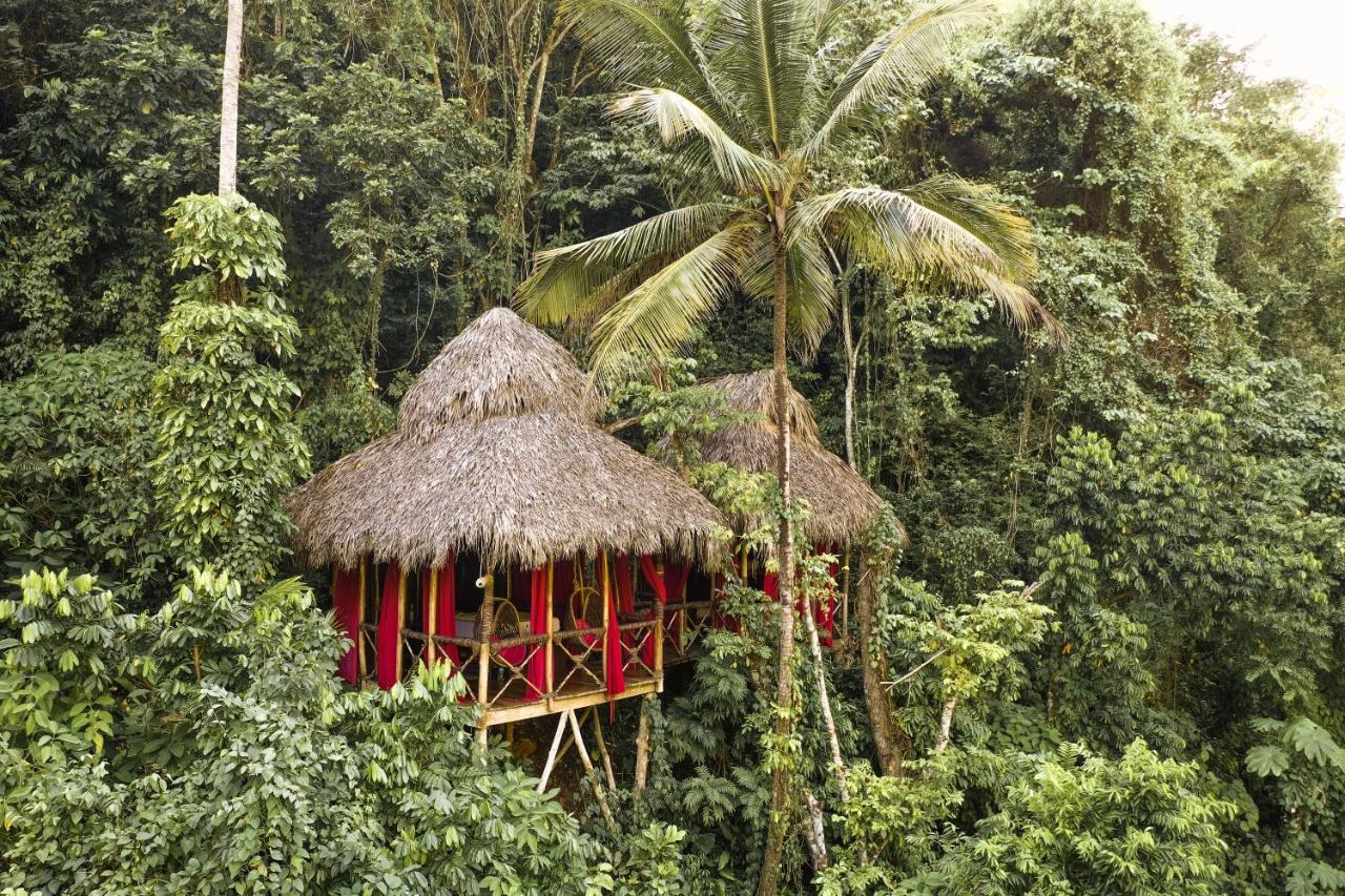 Dominican Tree House Village Resort
