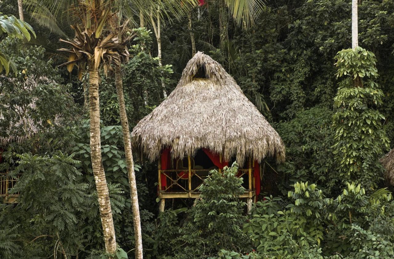 Dominican Tree House Village Resort 2*