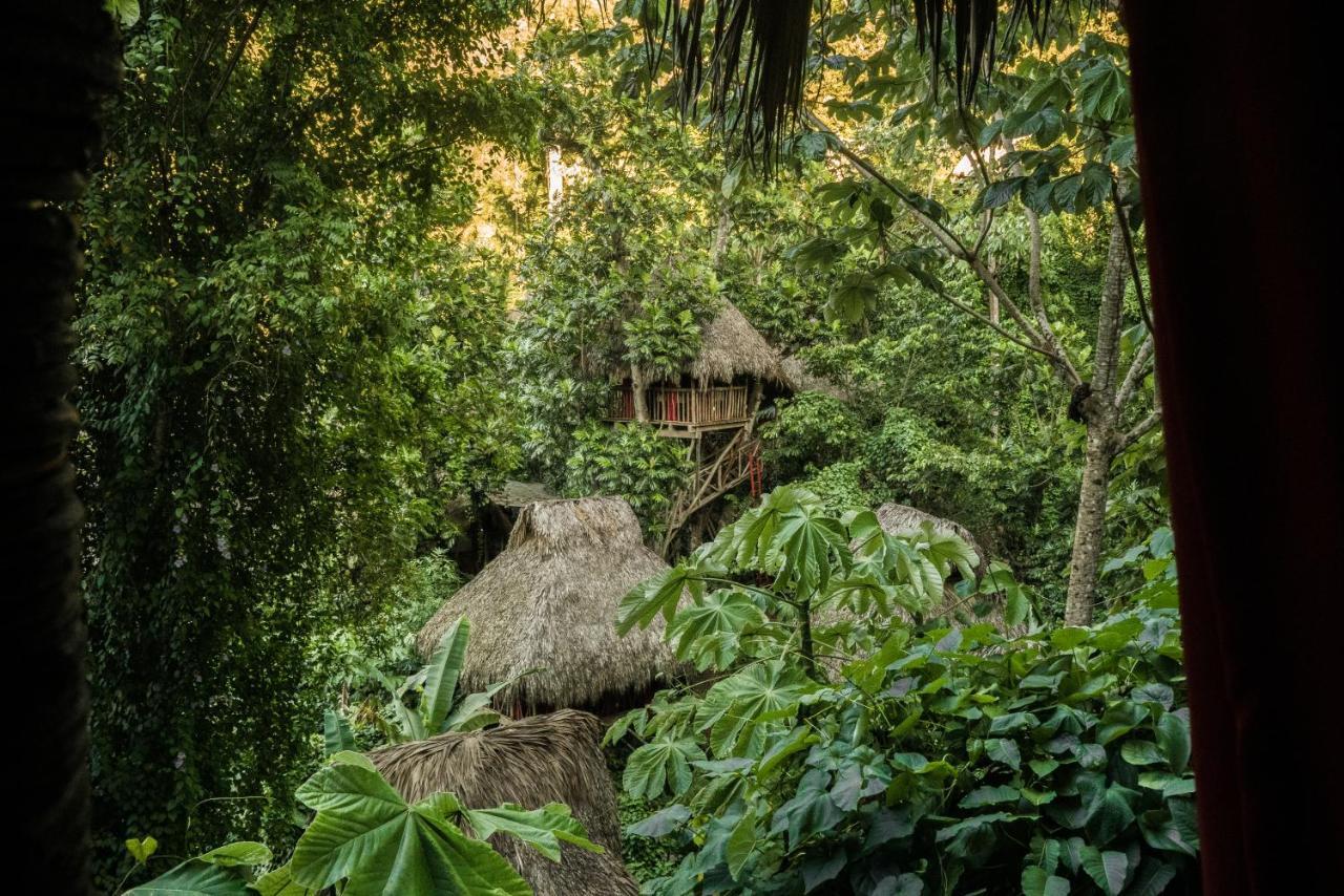 Dominican Tree House Village