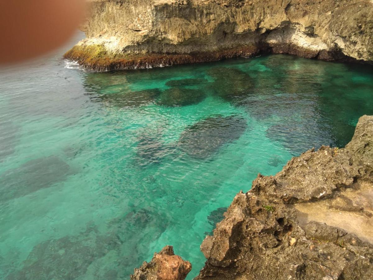 Inn La Cueva Del Che *