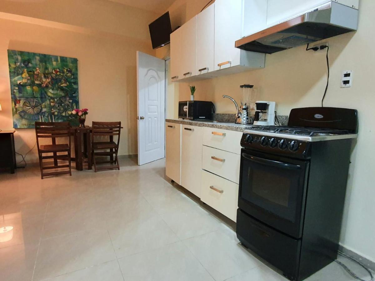Apartamentos Roman Aparthotel *