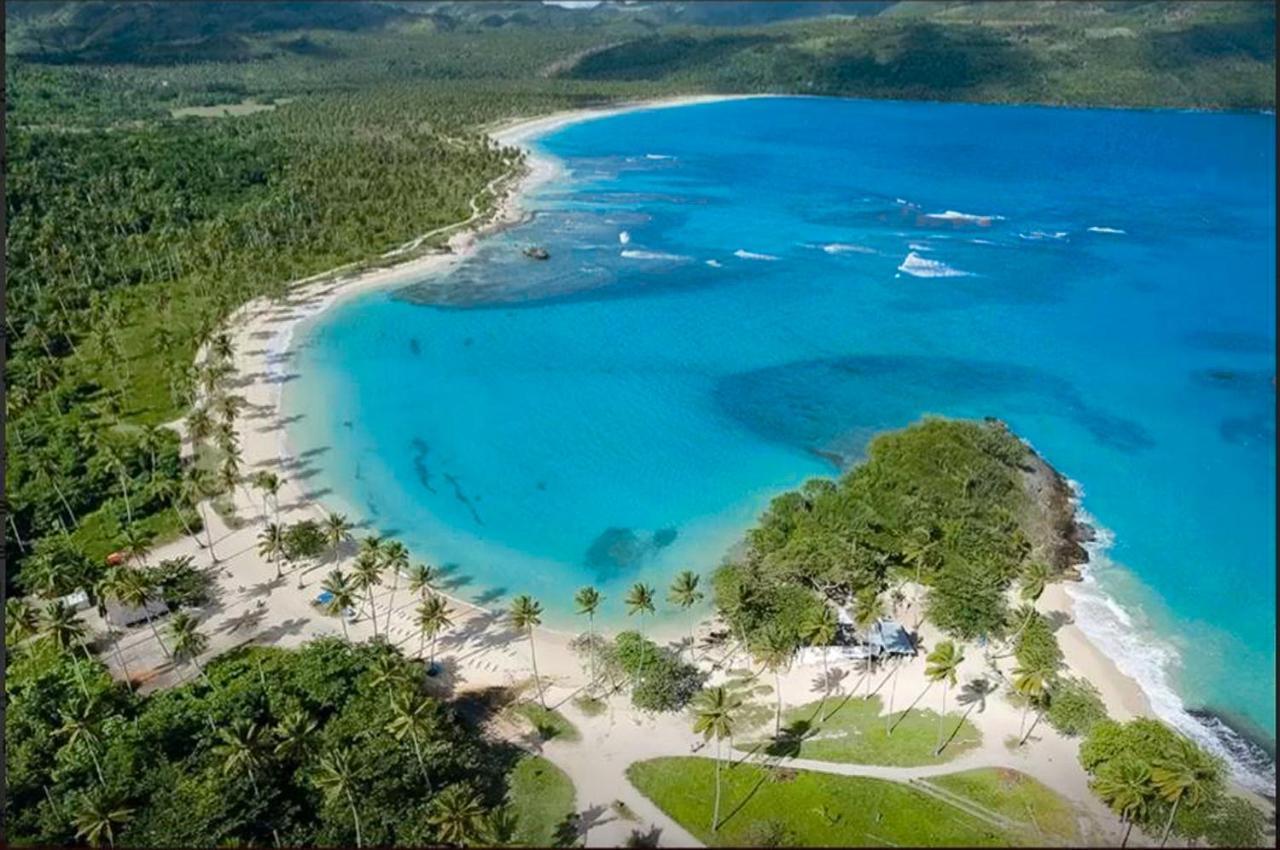 Flamboyan * Las Galeras