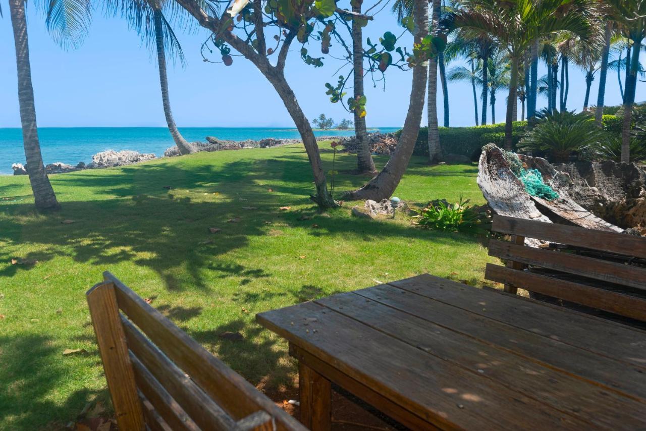 Apartment Jasmine La Playita - Ocean Front *