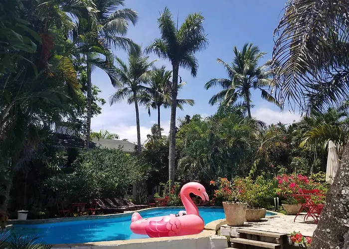 Cabarete Surf Camp