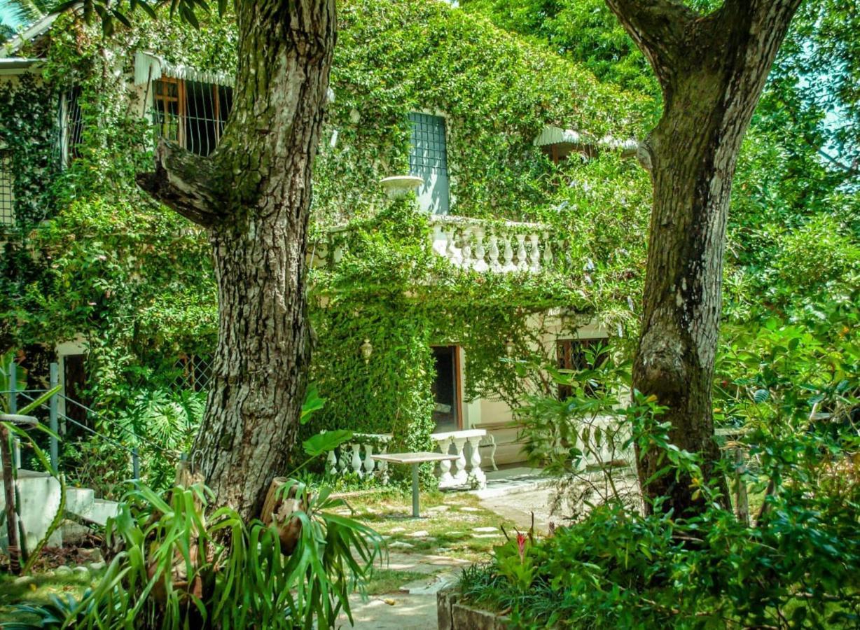 Carolina Bed & Breakfast